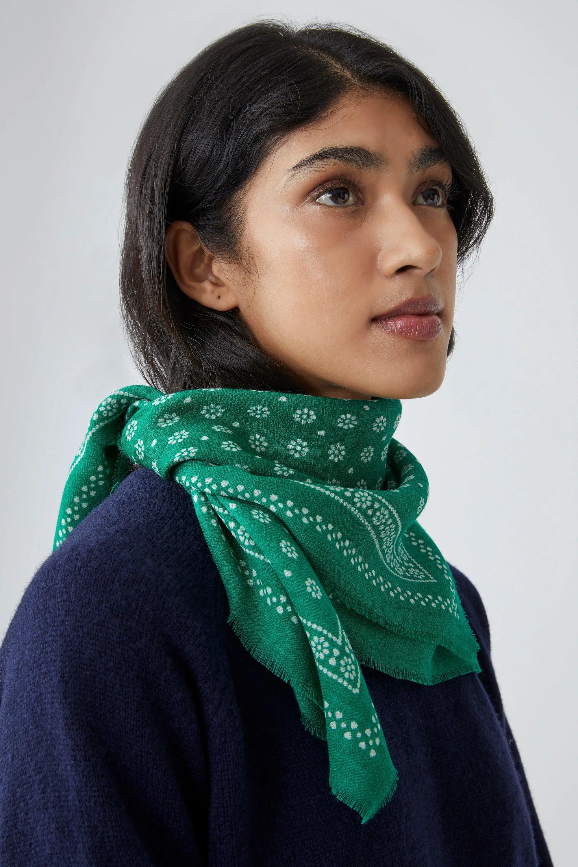 Foulard N°676 Oxford Green - Moismont