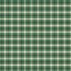 Foulard Magda N°793 Oxford Green