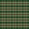 Gilet Ava N°813 Checks Oxford Green