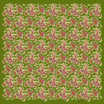 Colibri Scarf No. 763 Matcha