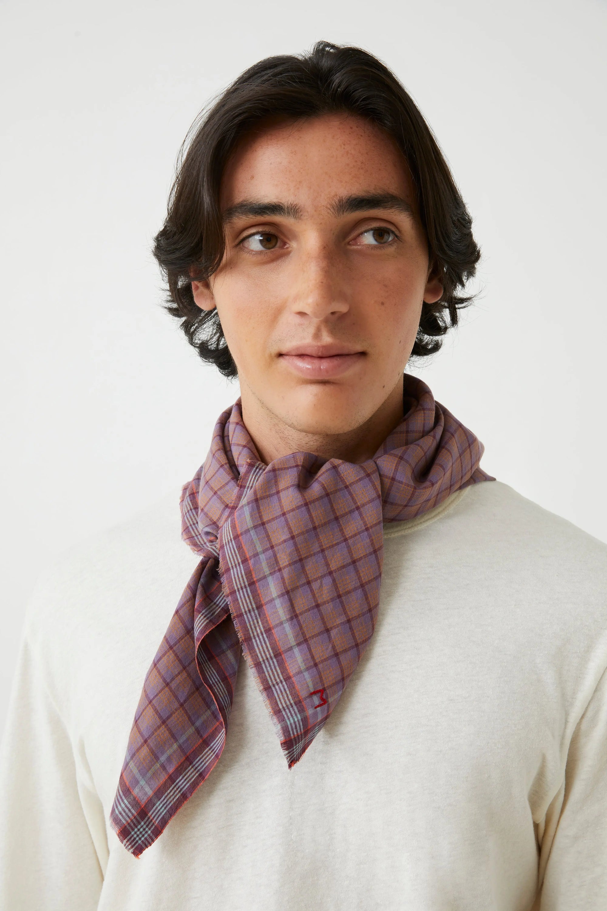 Messager Scarf N°818 Amethyst