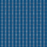 Chemise Viviane N°732 Griotte Blue Worker