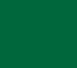 Echarpe Colorama N°100 Oxford Green