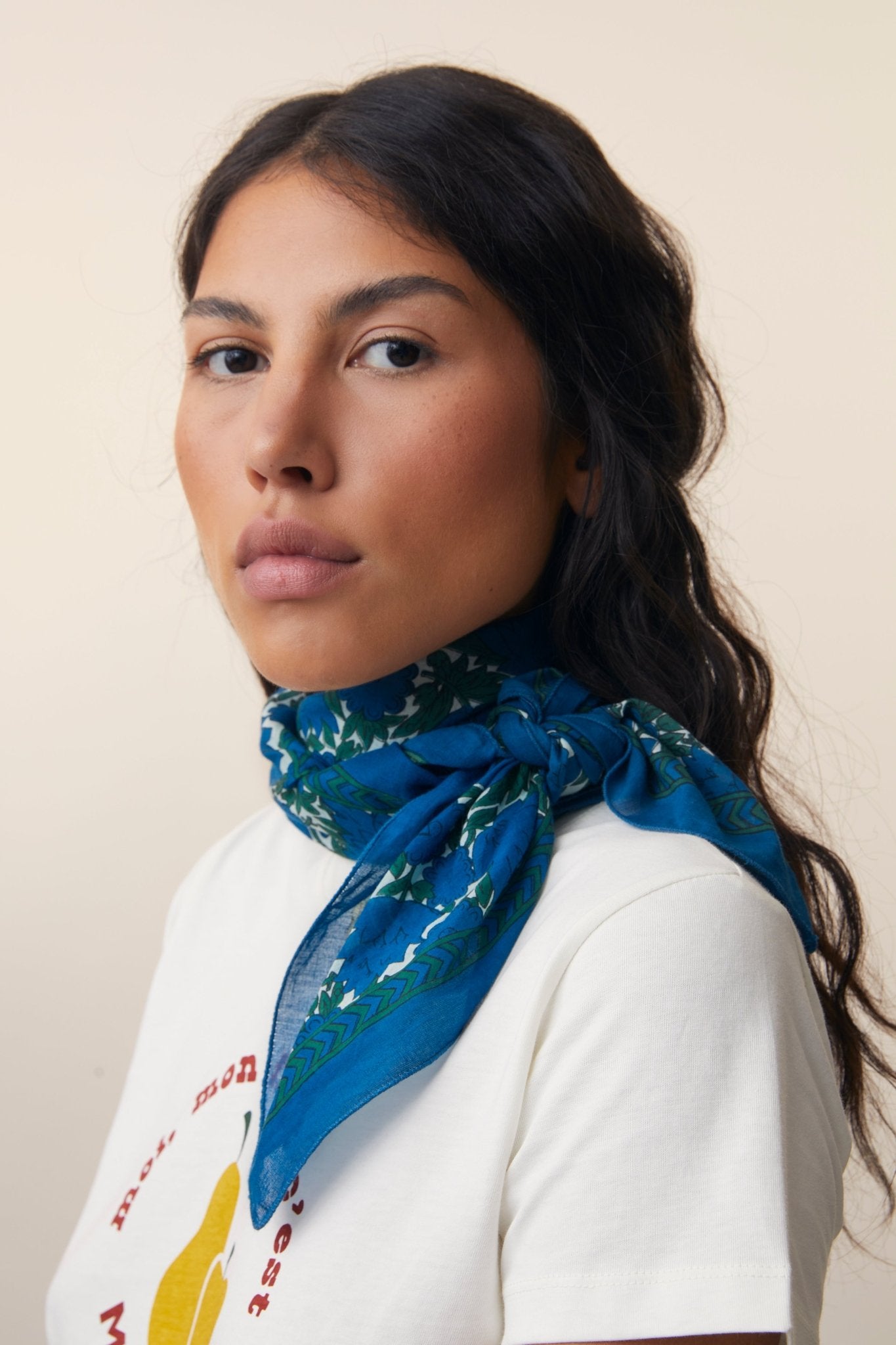 Foulard N°680 Navy Blue - Moismont